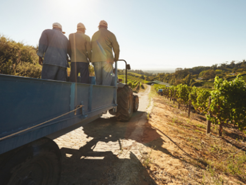 three agricultural workers on equipment in field